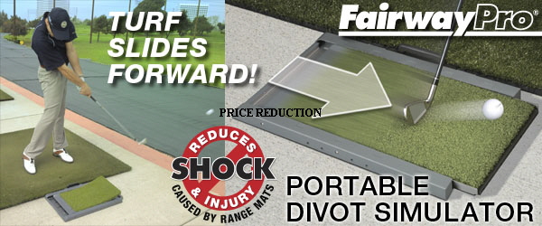 PRICE REDUCTION