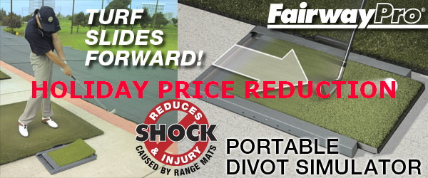HOLIDAY PRICE REDUCTION